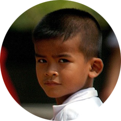 自动攻击网站工具下载