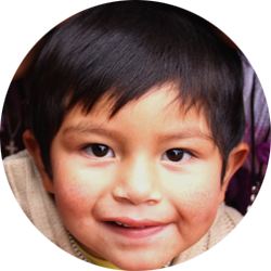 自动攻击网站工具下载